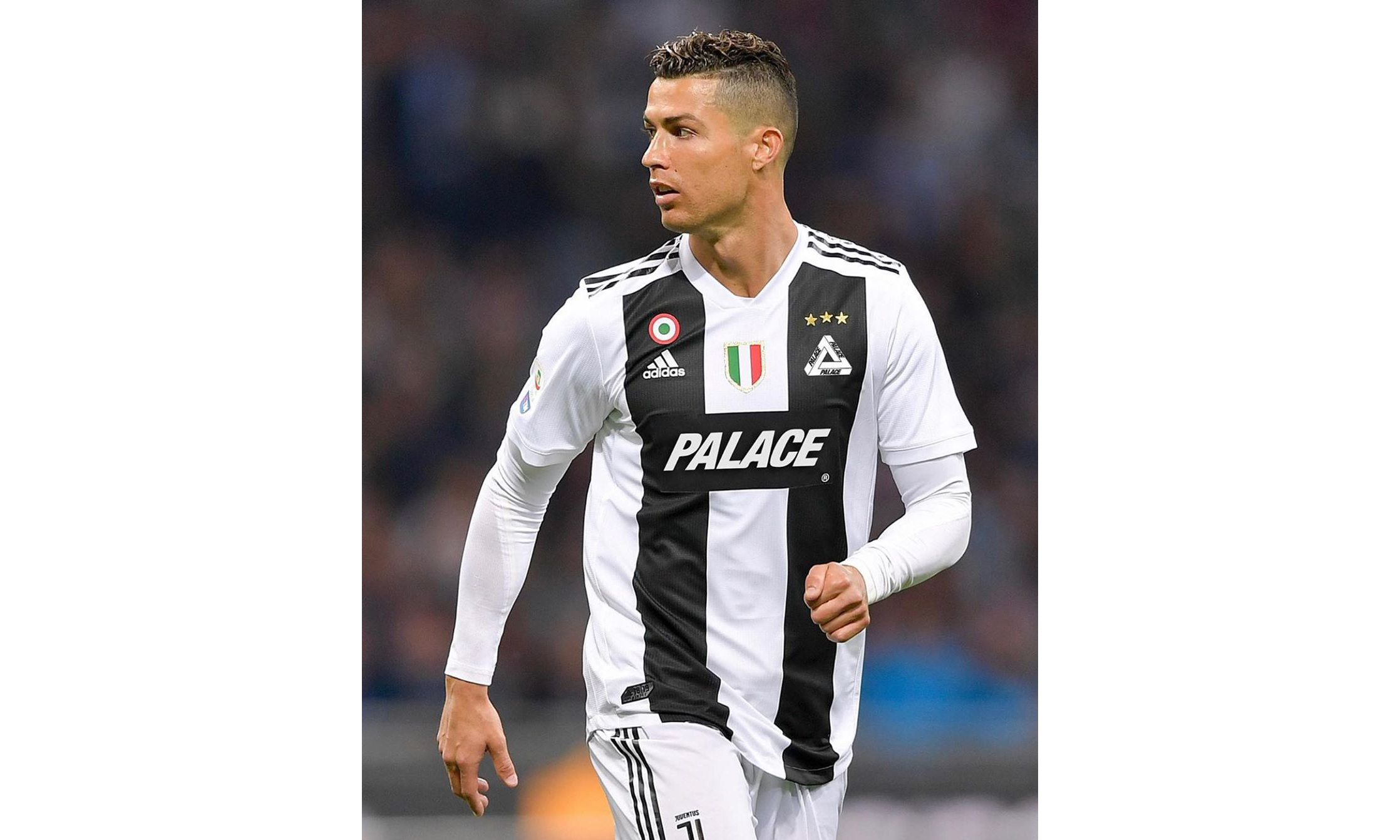 愿提供租借 愿提供租借